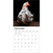 Chickens 2027 Square Wall Calendar