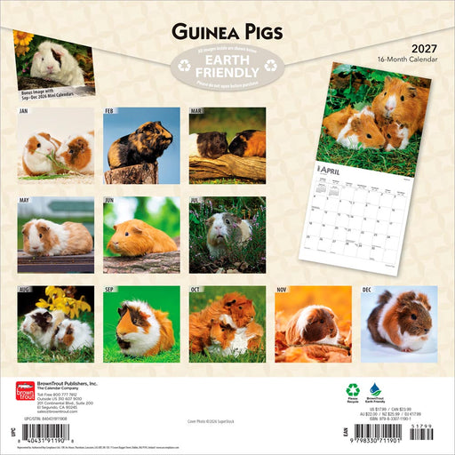 Guinea Pigs 2027 Square Wall Calendar
