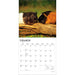 Guinea Pigs 2027 Square Wall Calendar