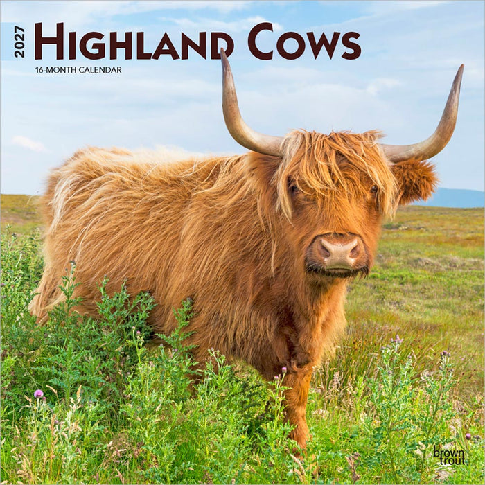 Highland Cows 2027 Square Wall Calendar