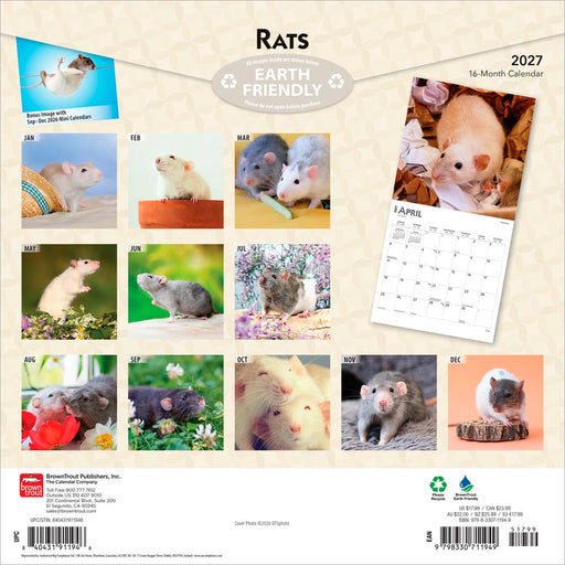 Rats 2027 Square Wall Calendar