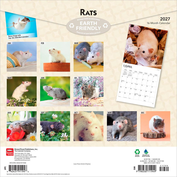 Rats 2027 Square Wall Calendar