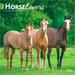 Horse Lovers 2027 Square Wall Calendar