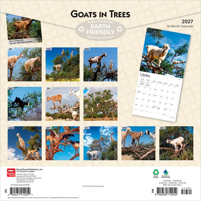 Goats in Trees 2027 Square Wall Calendar