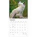 Wolves 2027 Square Wall Calendar