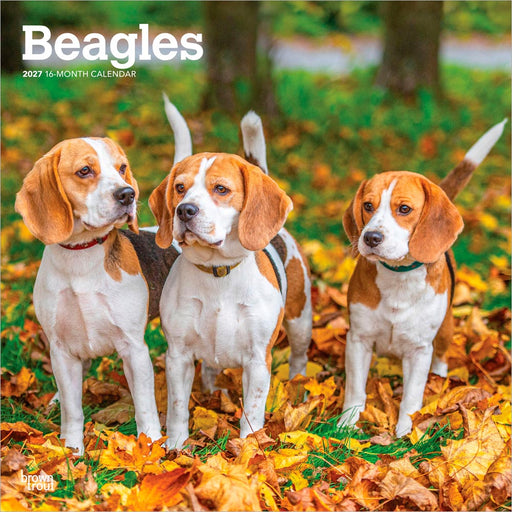 Beagles 2027 Square Wall Calendar