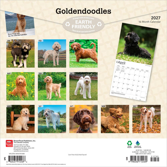Goldendoodles 2027 Square Wall Calendar