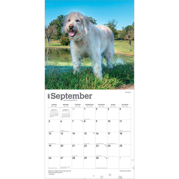 Goldendoodles 2027 Square Wall Calendar
