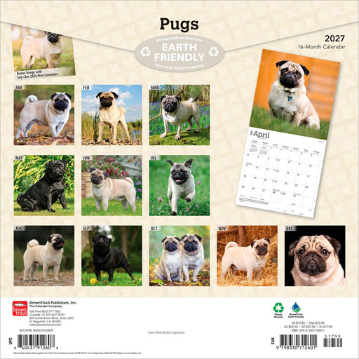Pugs 2027 Square Wall Calendar