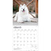 Samoyeds 2027 Square Wall Calendar