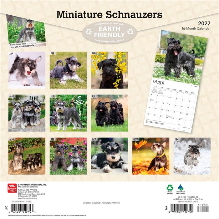 Miniature Schnauzers 2027 Square Wall Calendar