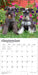Miniature Schnauzers 2027 Square Wall Calendar