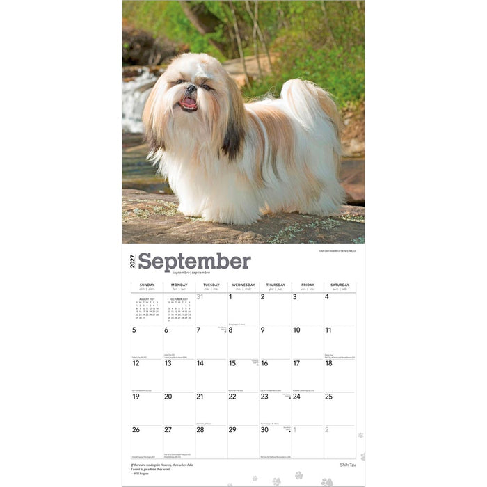 Shih Tzu 2027 Square Wall Calendar