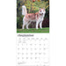 Siberian Huskies 2027 Square Wall Calendar