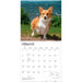 Pembroke Welsh Corgis 2027 Square Wall Calendar