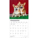 Pembroke Welsh Corgis 2027 Square Wall Calendar