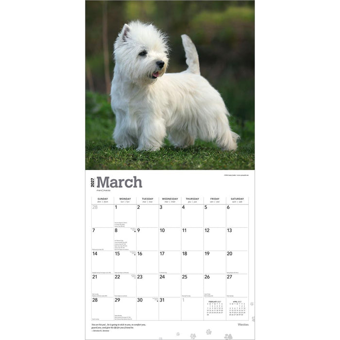 West Highland Terriers 2027 Square Wall Calendar