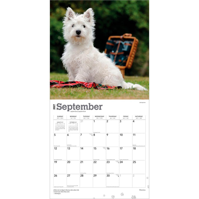 West Highland Terriers 2027 Square Wall Calendar