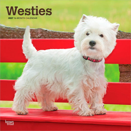West Highland Terriers 2027 Square Wall Calendar