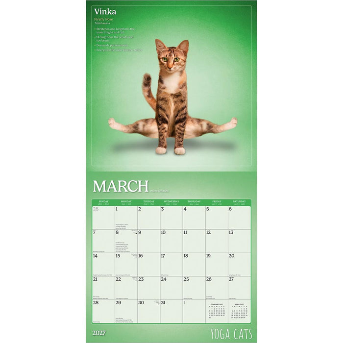 Yoga Cats 2027 Square Wall Calendar