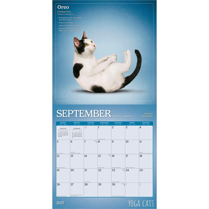 Yoga Cats 2027 Square Wall Calendar