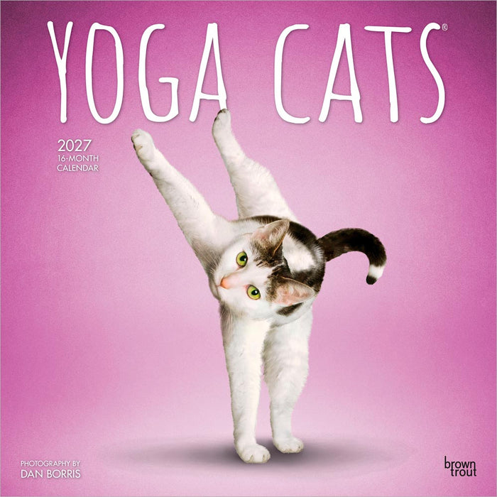 Yoga Cats 2027 Square Wall Calendar