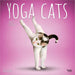 Yoga Cats 2027 Square Wall Calendar