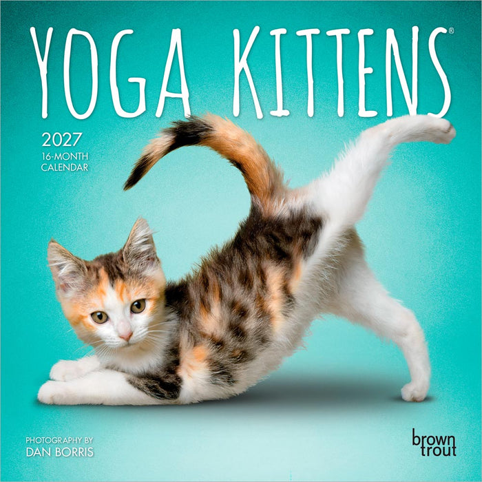 Yoga Kittens 2027 Mini Wall Calendar