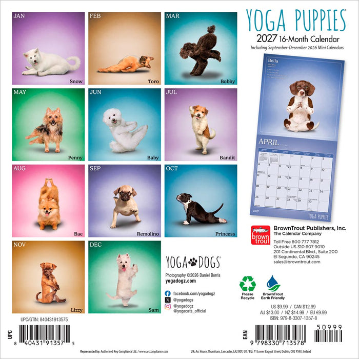 Yoga Puppies 2027 Mini Wall Calendar