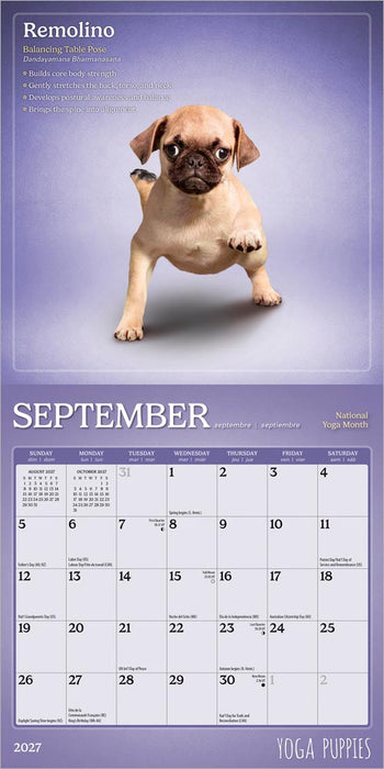 Yoga Puppies 2027 Mini Wall Calendar
