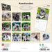 Keeshonden 2027 Square Wall Calendar