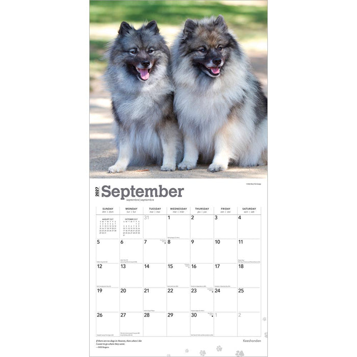 Keeshonden 2027 Square Wall Calendar