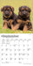 German Shepherd Puppies 2027 Mini Wall Calendar