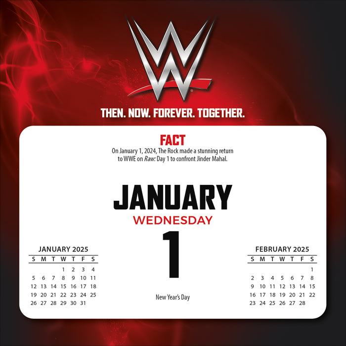 2025 WWE Page-A-Day Calendar