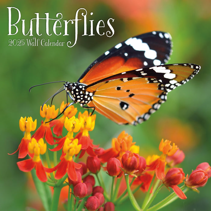 2025 Butterflies Wall Calendar