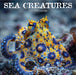 Sea Creatures 2027 Square Wall Calendar