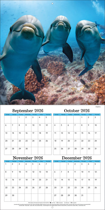Sea Creatures 2027 Square Wall Calendar