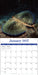 Sea Creatures 2027 Square Wall Calendar
