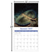 Sea Creatures 2027 Square Wall Calendar