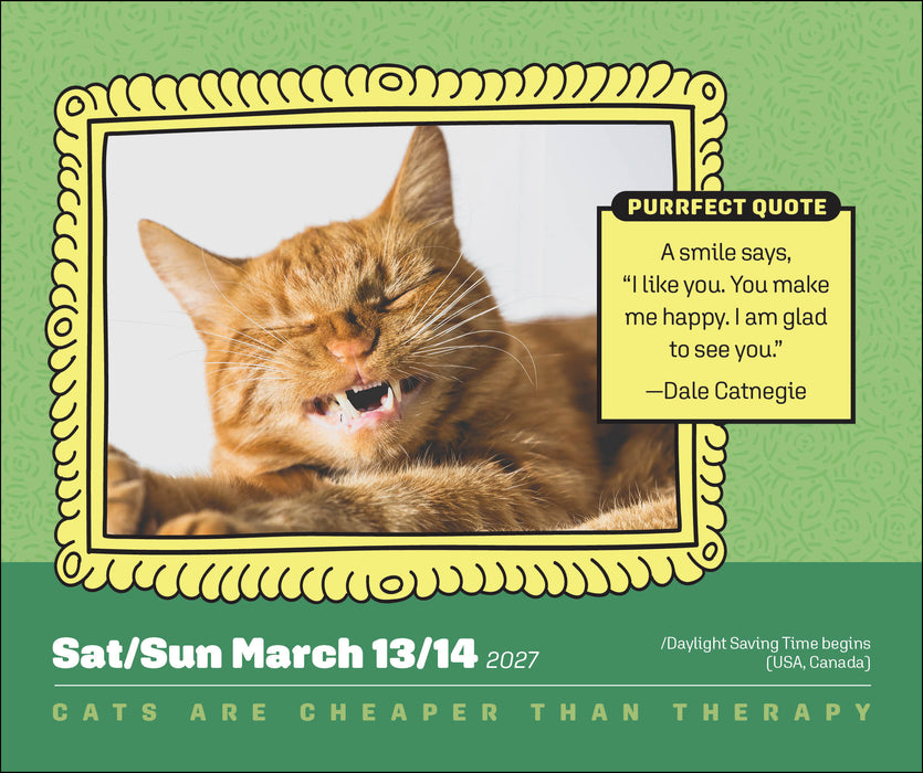 Cats Are Cheaper Than Therapy 2027 Page-A-Day Calendar