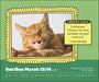 Cats Are Cheaper Than Therapy 2027 Page-A-Day Calendar