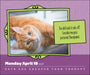 Cats Are Cheaper Than Therapy 2027 Page-A-Day Calendar