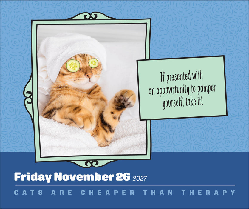 Cats Are Cheaper Than Therapy 2027 Page-A-Day Calendar