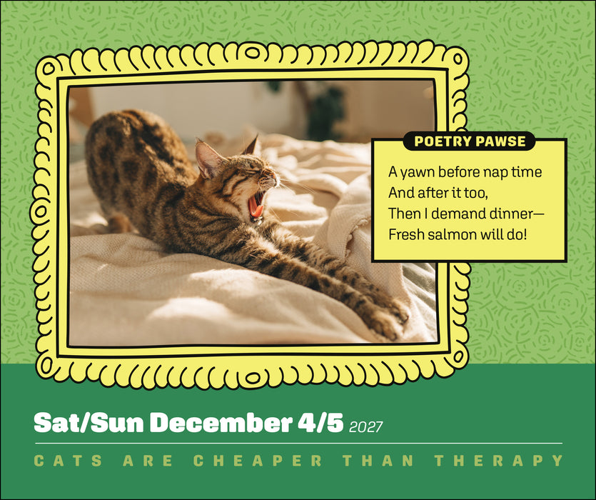 Cats Are Cheaper Than Therapy 2027 Page-A-Day Calendar