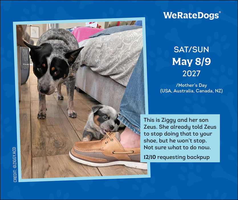 We Rate Dogs 2027 Page-A-Day Calendar