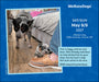 We Rate Dogs 2027 Page-A-Day Calendar