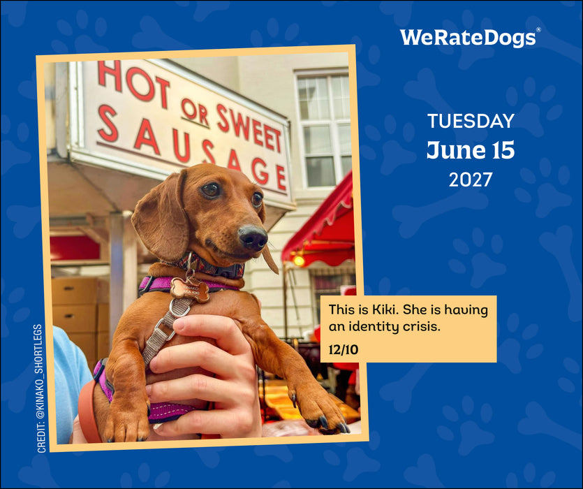 We Rate Dogs 2027 Page-A-Day Calendar