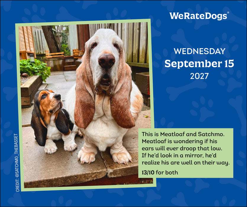 We Rate Dogs 2027 Page-A-Day Calendar