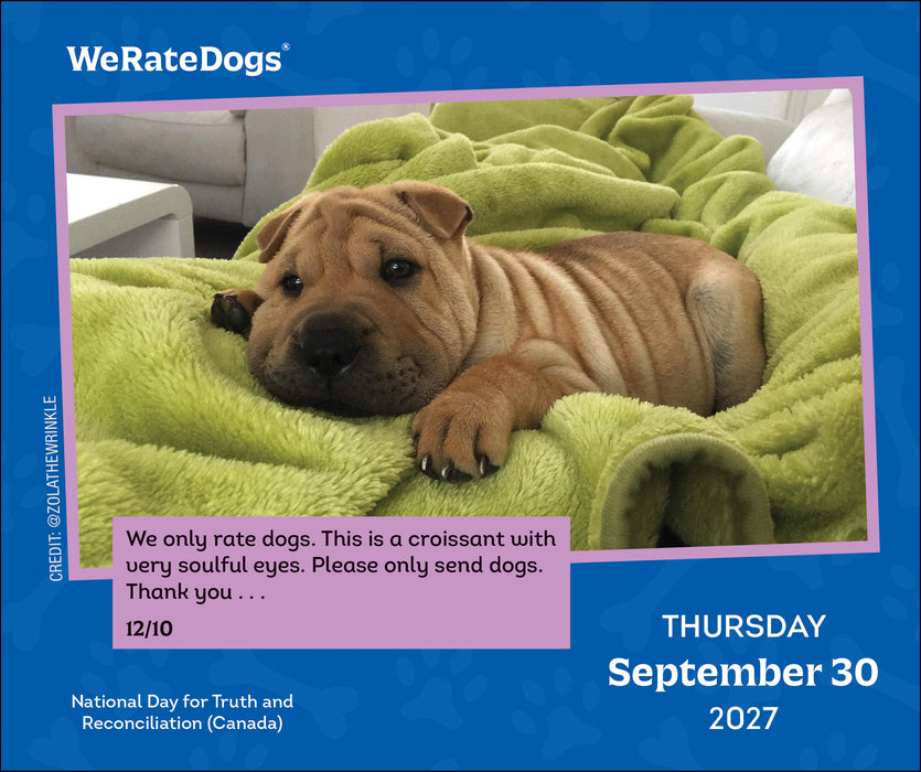 We Rate Dogs 2027 Page-A-Day Calendar
