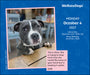 We Rate Dogs 2027 Page-A-Day Calendar